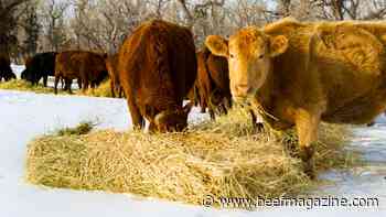 Tips on using lesser-quality forages