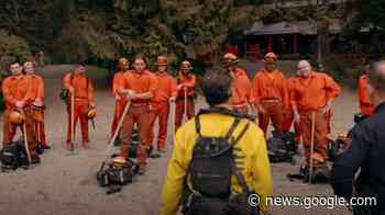 5 Shows After Dark: 'The Ark' on SyFy, 'AFC Championship' on CBS - Pajiba Entertainment News