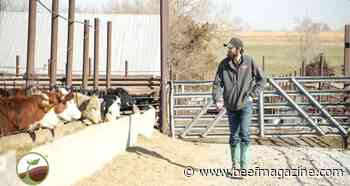 FBN, Boveta Nutrition partner on proprietary cattle feeding system