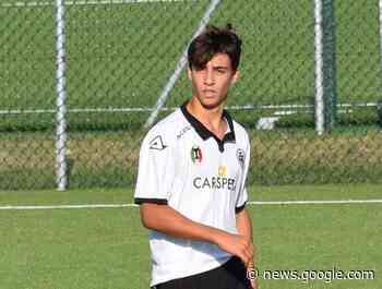 Bari, arriva Morachioli dalla Serie C - La Bari Calcio