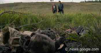 The Last of Us: Stephen King Questions HBO Series Over Boston ... - Bleeding Cool News