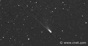 Potentially 'Alien' Comet Survives a Close Encounter With the Sun     - CNET