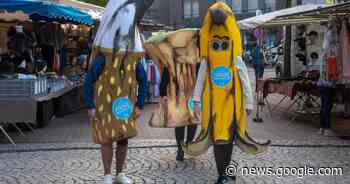 Na 1 jaar GAS-handhaving zwerfvuil al 194 overtredingen vastgesteld - Het Laatste Nieuws