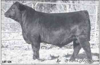 Baldridge Performance Angus Bull Sale | TheFencePost.com - The Fence Post