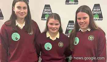 These Thurles students are through to the next stage of the Angus ... - Tipperary Live