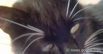 Ansbach, Schillerstraße - Radio 8 Ansbach