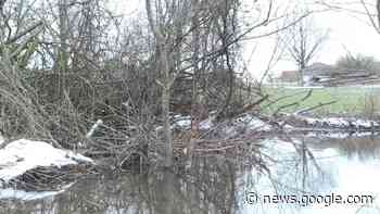 Stadt Ansbach : Naturschützer kritisieren die Entfernung von ... - BR Mediathek