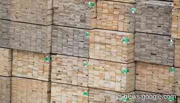 Anthony Britneff: Scrap the old forest industry, build a new one - Prince George Citizen