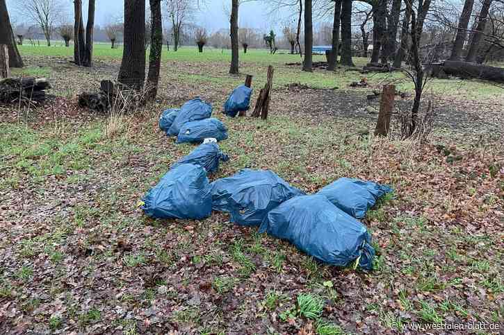 Delbrück: Müll in der Natur – wer ist für die Entsorgung zuständig?