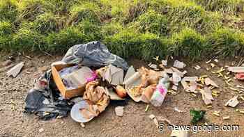 Marconnelle : des déchets déversés chemin de la Creuse - Nord Littoral