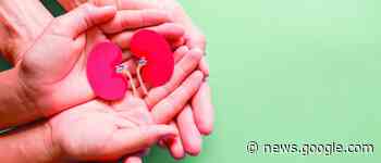 Don d'organes : Un long chemin reste encore à parcourir - La Vie éco - La Vie Éco