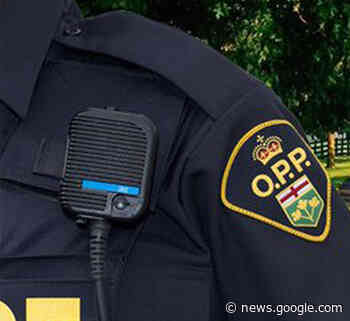 Lambton OPP lay 13 charges during festive RIDE campaign - The Sarnia Journal