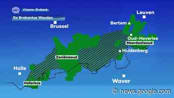 Leuven, Bertem, Oud-Heverlee en Huldenberg gaan samenwerken ... - ROB-tv