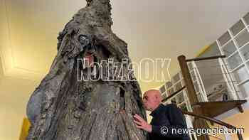 Crotone - Ora la fase più importante del grande Pitagora ... - CrotoneOK.it