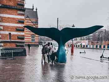 Gezien: mysterieuze walvisstaart aan station Schaarbeek - BRUZZ
