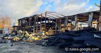 Großbrand in Blomberg: Nur vier Hühner überleben das Inferno ... - Lippische Landes-Zeitung