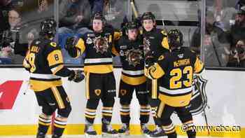 Hamilton Bulldogs may play in Brantford for 3 years during FirstOntario Centre renovations