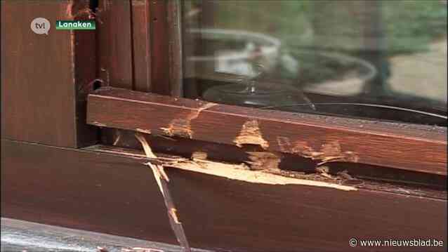 Politie Lanaken-Maasmechelen zet extra personeel in na inbrakengolf