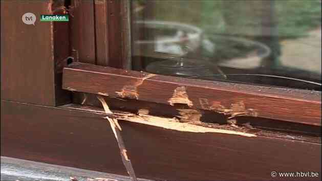Politie Lanaken-Maasmechelen zet extra personeel in na inbrakengolf
