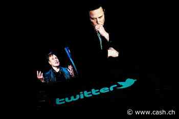 EU-Kommissar zu Elon Musk - Twitter muss Digital-Vorgaben erfüllen