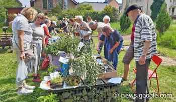 Pflanzentauschbörse im Stadtpark von Remagen - Aktiplan