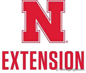 Dawson County Market Beef Weigh Day Set for February 11 - Sand Hills Express