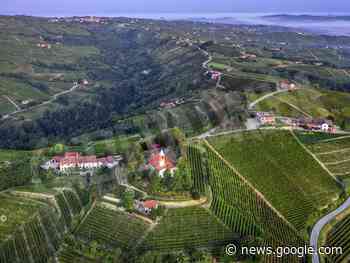 La Regione Piemonte riconosce vigneti storici ed eroci, Cia Cuneo ... - http://gazzettadalba.it/