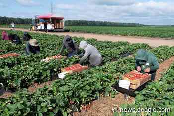 Long delays and rising cases deny B.C. workers justice, say critics ... - Ladysmith Chronicle