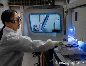 El genio femenino - LetrasLibres.com