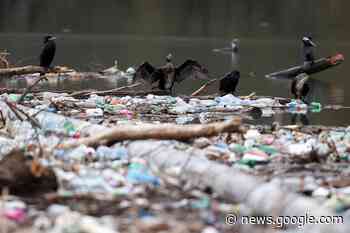Serbia, Montenegro, Bosnia Do Little to Solve Waste Problem - U.S. News & World Report