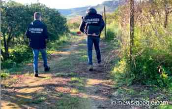 Sfruttamento del lavoro in un'azienda agricola, società sotto ... - Soverato Web