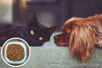 Why do we own pets ? - Ethan Langley, Wilson's School