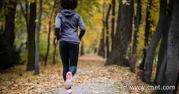 12 Best Cardio Workouts     - CNET