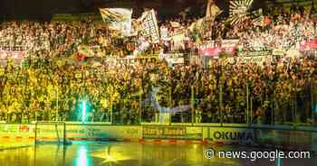 Krefeld Pinguine müssen wegen Fanverhalten Geldstrafe zahlen - Westdeutsche Zeitung