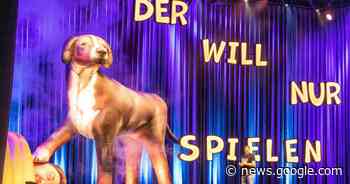 Hundeprofi zu Gast in Krefeld: Martin Rütter schockt Zuschauer mit ... - Rheinische Post