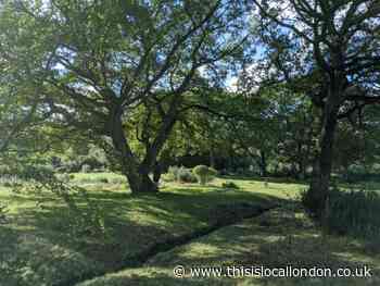 By Ruben Da Silva,   Trinity high School ,