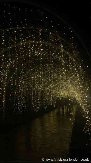 RHS Wisley Glow Event 2023 by Laura Clark Notre Dame