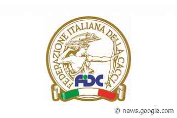 Numeri Ispra sul cinghiale: il commento Fidc - Armi e Tiro