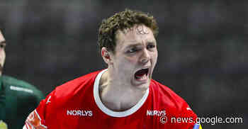 Rhein-Neckar Löwen: Aus Heidelberg in den Handball-Himmel - Rhein-Neckar Zeitung