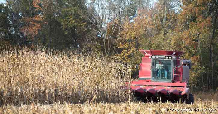US Corn Farmers Sound the Alarm: Most Catastrophic Problem Ever Faced Headed for Crop