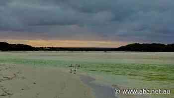 Calls for help as Bremer Bay struggles to deal with too much of a good thing