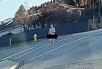 Man arrested while running naked past North Shore police station ... - Castanet.net