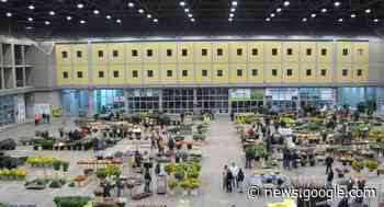 Florovivaisti contro la speculazione dei prezzi: parte da Terlizzi la ... - TerlizziLive