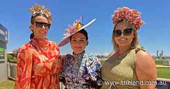 Ladies Day photos: all the colour from the Tamworth Racecourse