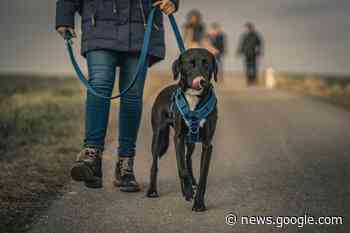 Akuter Ärger mit Hundekot auf landwirtschaftlich genutzten Flächen ... - Rhein Main Verlag