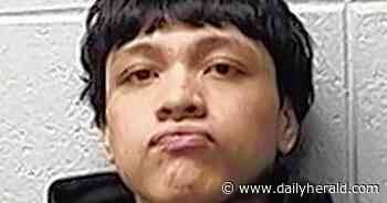 Pingree Grove man charged with 12 felonies after Carpentersville drug investigation