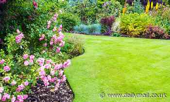 Mixing with nature could be just 15 minutes away for everyone under new Government plan