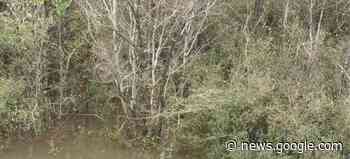 Minor flooding along Biloxi and Wolf Rivers - WXXV News 25