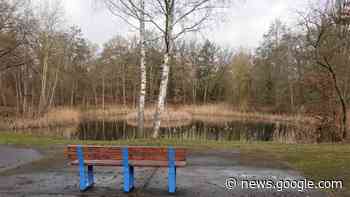 Landesgartenschau Wittenberge 2027: Stadtpark im Fokus - svz – Schweriner Volkszeitung