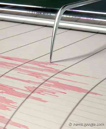 La terra trema a largo di Malta. «Scossa avvertita anche a Gela ... - Today 24